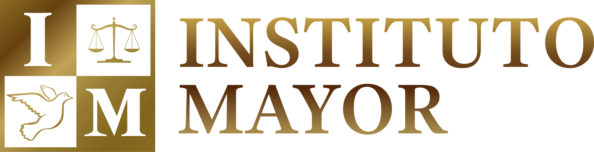 Instituto Mayor
